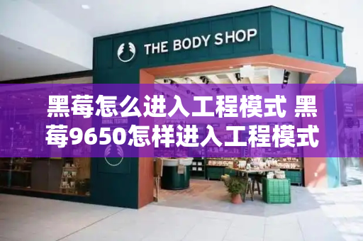 黑莓怎么进入工程模式 黑莓9650怎样进入工程模式-第1张图片-星选测评