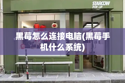 黑莓怎么连接电脑(黑莓手机什么系统)-第1张图片-星选测评