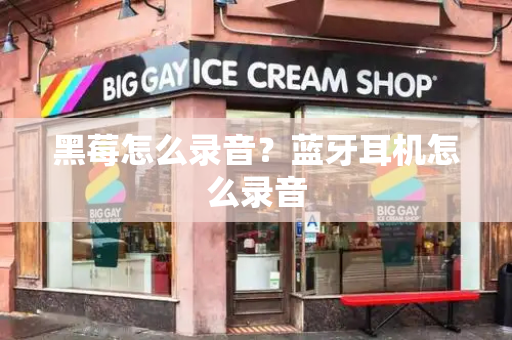 黑莓怎么录音？蓝牙耳机怎么录音-第1张图片-星选测评