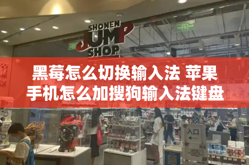 黑莓怎么切换输入法 苹果手机怎么加搜狗输入法键盘-第1张图片-星选测评