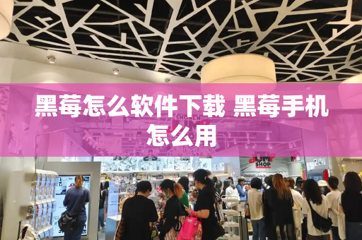 黑莓怎么软件下载 黑莓手机怎么用
