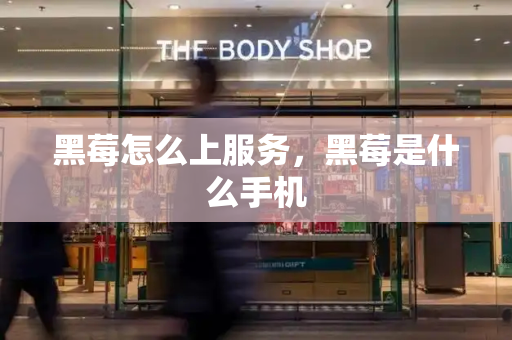 黑莓怎么上服务，黑莓是什么手机