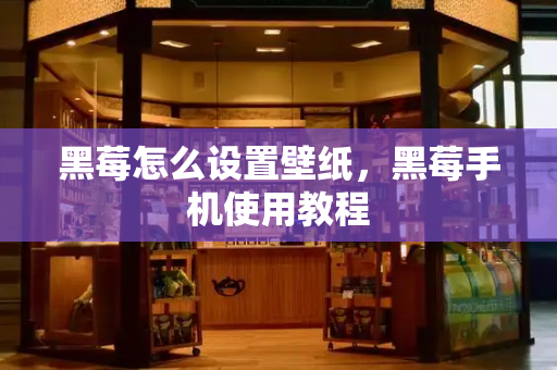 黑莓怎么设置壁纸，黑莓手机使用教程