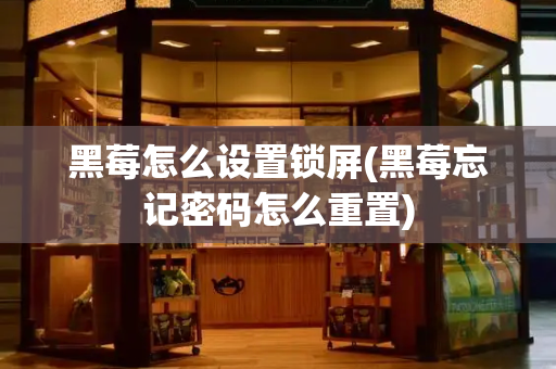 黑莓怎么设置锁屏(黑莓忘记密码怎么重置)-第1张图片-星选测评