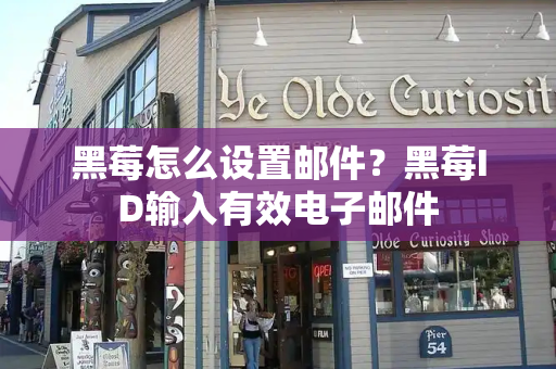 黑莓怎么设置邮件？黑莓ID输入有效电子邮件-第1张图片-星选测评