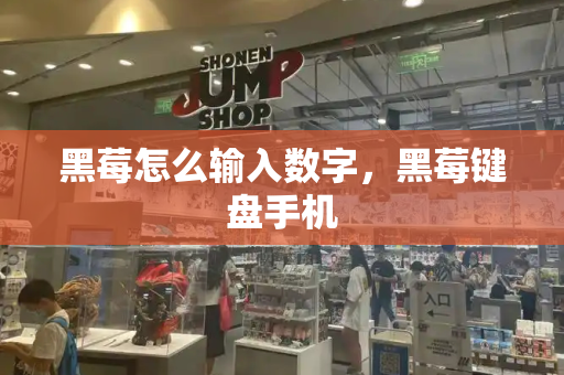 黑莓怎么输入数字，黑莓键盘手机-第1张图片-星选测评