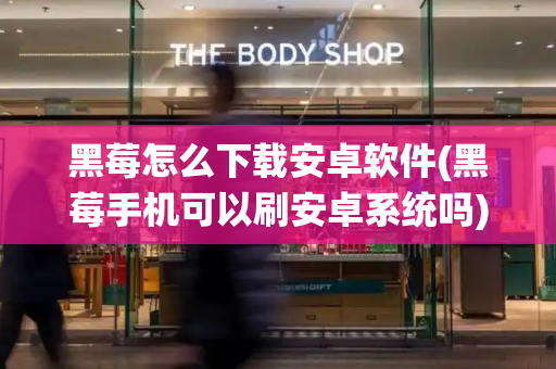 黑莓怎么下载安卓软件(黑莓手机可以刷安卓系统吗)