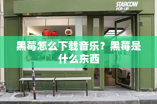 黑莓怎么下载音乐？黑莓是什么东西