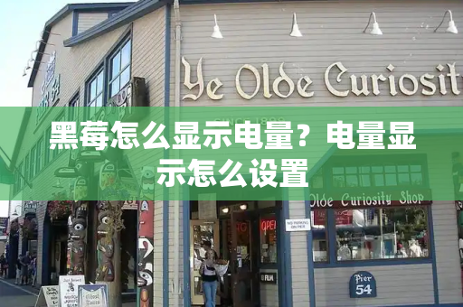 黑莓怎么显示电量？电量显示怎么设置-第1张图片-星选测评