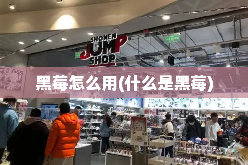 黑莓怎么用(什么是黑莓)