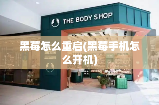 黑莓怎么重启(黑莓手机怎么开机)-第1张图片-星选测评