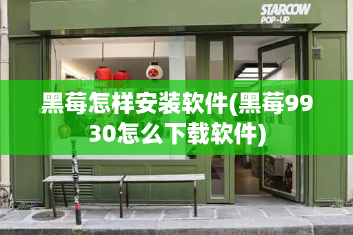黑莓怎样安装软件(黑莓9930怎么下载软件)