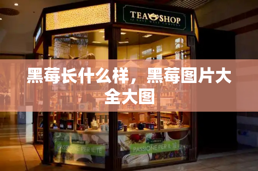 黑莓长什么样，黑莓图片大全大图