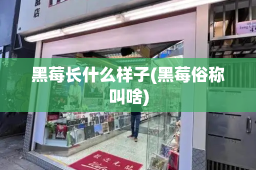黑莓长什么样子(黑莓俗称叫啥)