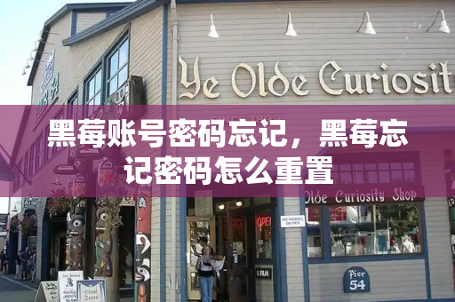 黑莓账号密码忘记，黑莓忘记密码怎么重置