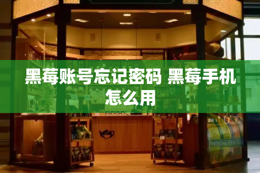 黑莓账号忘记密码 黑莓手机怎么用