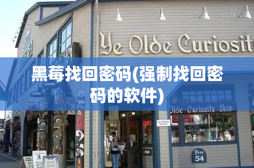 黑莓找回密码(强制找回密码的软件)