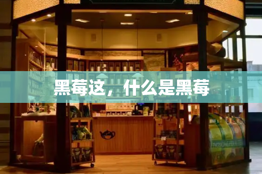 黑莓这，什么是黑莓