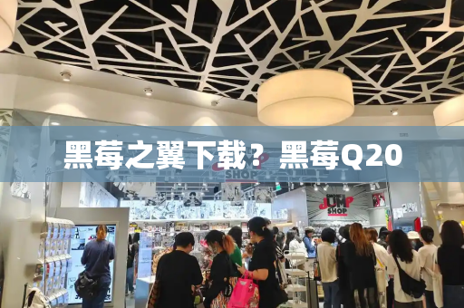 黑莓之翼下载？黑莓Q20-第1张图片-星选测评