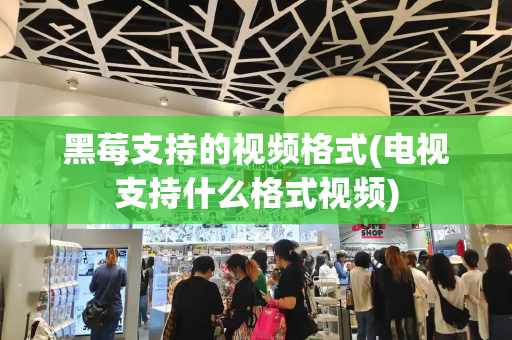 黑莓支持的视频格式(电视支持什么格式视频)