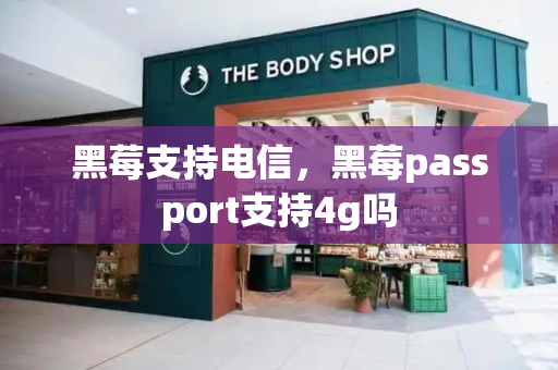 黑莓支持电信，黑莓passport支持4g吗