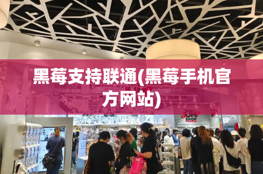 黑莓支持联通(黑莓手机官方网站)-第1张图片-星选测评