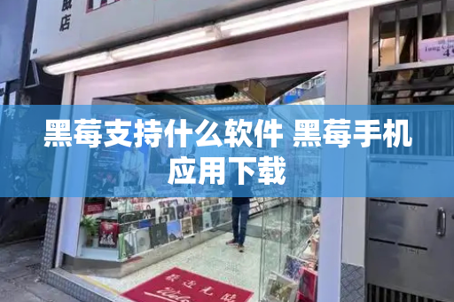 黑莓支持什么软件 黑莓手机应用下载