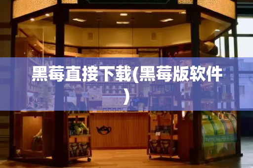 黑莓直接下载(黑莓版软件)-第1张图片-星选测评