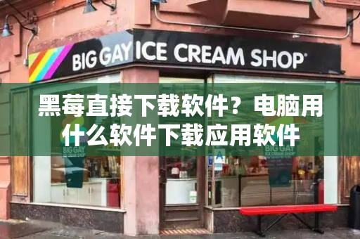 黑莓直接下载软件？电脑用什么软件下载应用软件