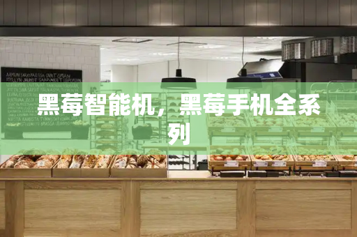黑莓智能机，黑莓手机全系列