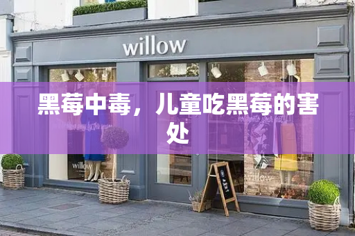 黑莓中毒，儿童吃黑莓的害处