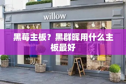 黑莓主板？黑群晖用什么主板最好-第1张图片-星选测评
