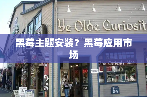 黑莓主题安装？黑莓应用市场-第1张图片-星选测评
