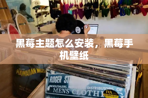 黑莓主题怎么安装，黑莓手机壁纸