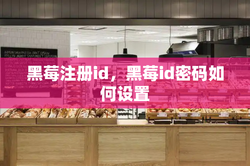黑莓注册id，黑莓id密码如何设置