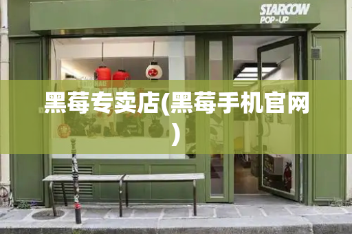 黑莓专卖店(黑莓手机官网)