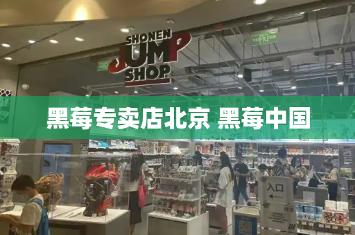 黑莓专卖店北京 黑莓中国