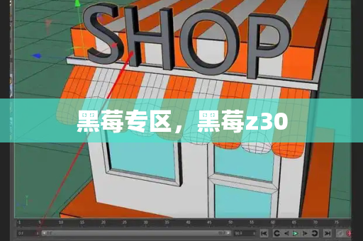 黑莓专区，黑莓z30