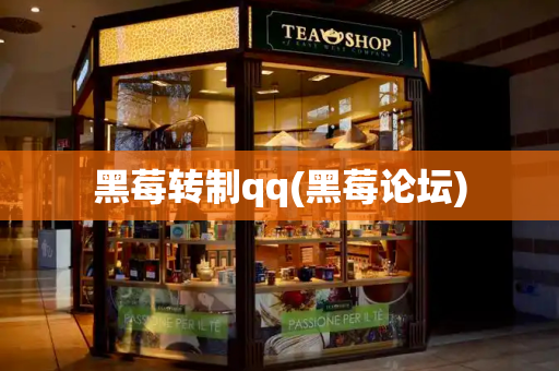 黑莓转制qq(黑莓论坛)