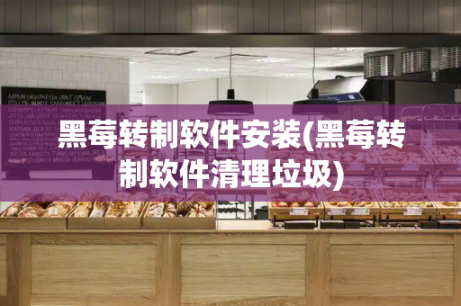 黑莓转制软件安装(黑莓转制软件清理垃圾)