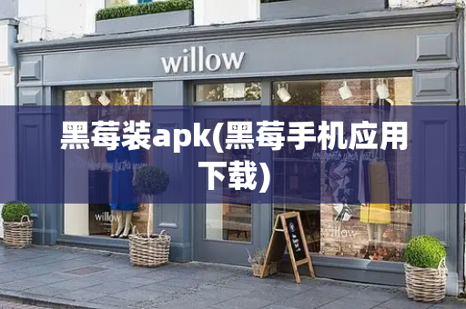 黑莓装apk(黑莓手机应用下载)