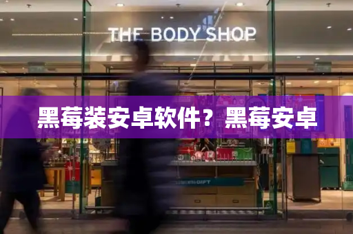 黑莓装安卓软件？黑莓安卓-第1张图片-星选测评