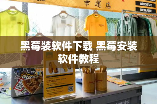 黑莓装软件下载 黑莓安装软件教程