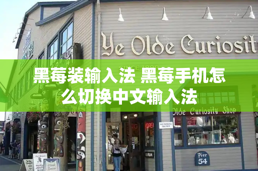 黑莓装输入法 黑莓手机怎么切换中文输入法