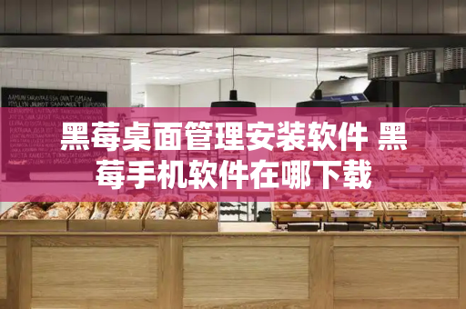黑莓桌面管理安装软件 黑莓手机软件在哪下载