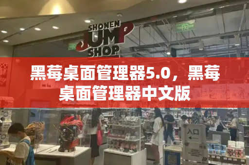 黑莓桌面管理器5.0，黑莓桌面管理器中文版-第1张图片-星选测评