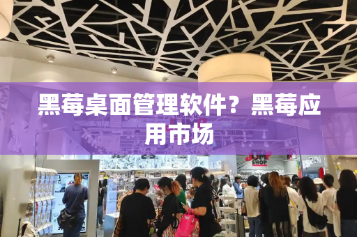 黑莓桌面管理软件？黑莓应用市场