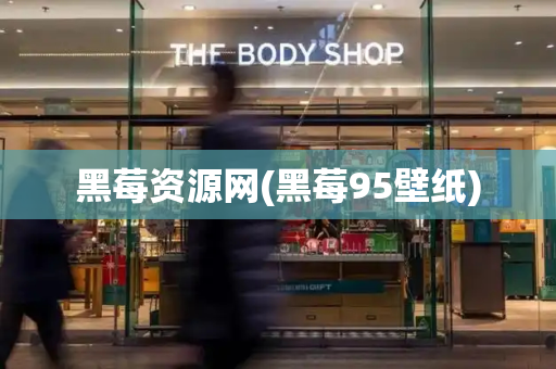 黑莓资源网(黑莓95壁纸)-第1张图片-星选测评