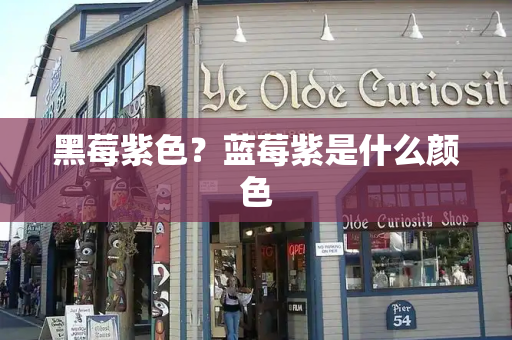 黑莓紫色？蓝莓紫是什么颜色