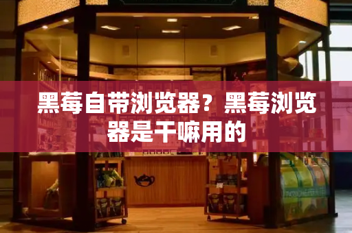 黑莓自带浏览器？黑莓浏览器是干嘛用的